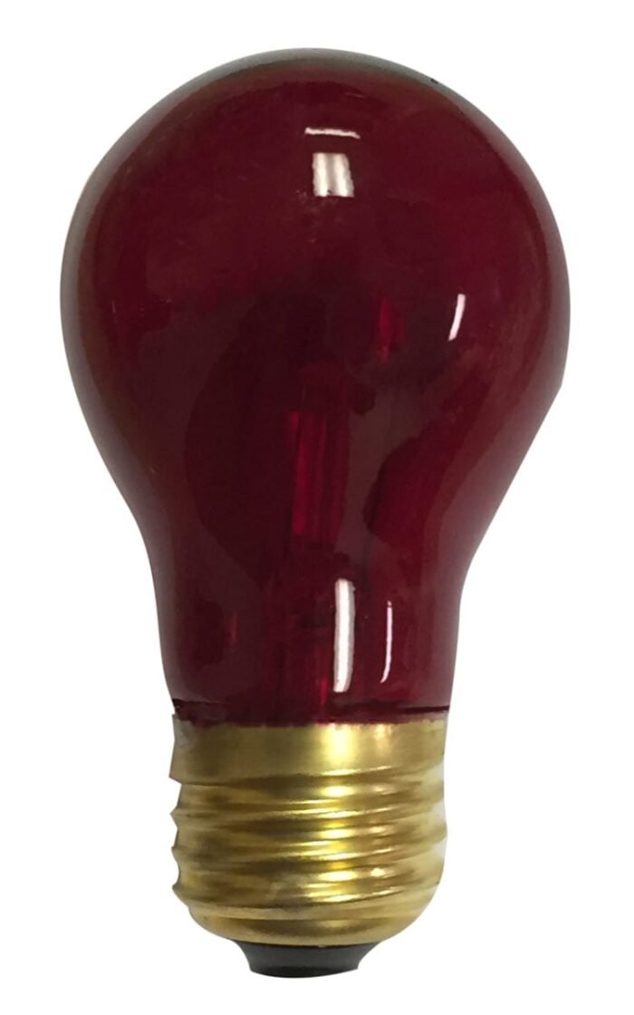 Royal Designs Long Life Decorative 15-Watt A-15 130V RED Light Bulb - Image 2