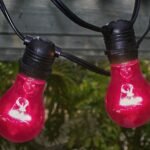 Royal Designs Long Life Decorative 15-Watt A-15 130V RED Light Bulb - Image 4