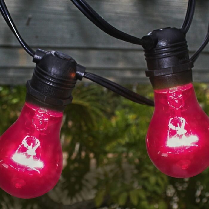 Royal Designs Long Life Decorative 15-Watt A-15 130V RED Light Bulb - Image 4